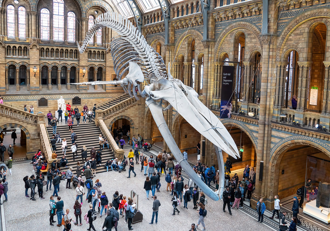 Increasing Footfall